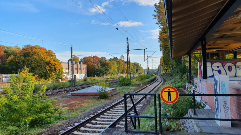 Potsdamer Stammbahn: Gribnitzsee Richtung Osten, Foto: VBB