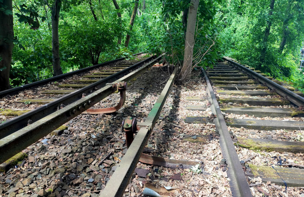 Die Planungen für die Siemensbahn sind gesichert, Foto: VBB, Stapf