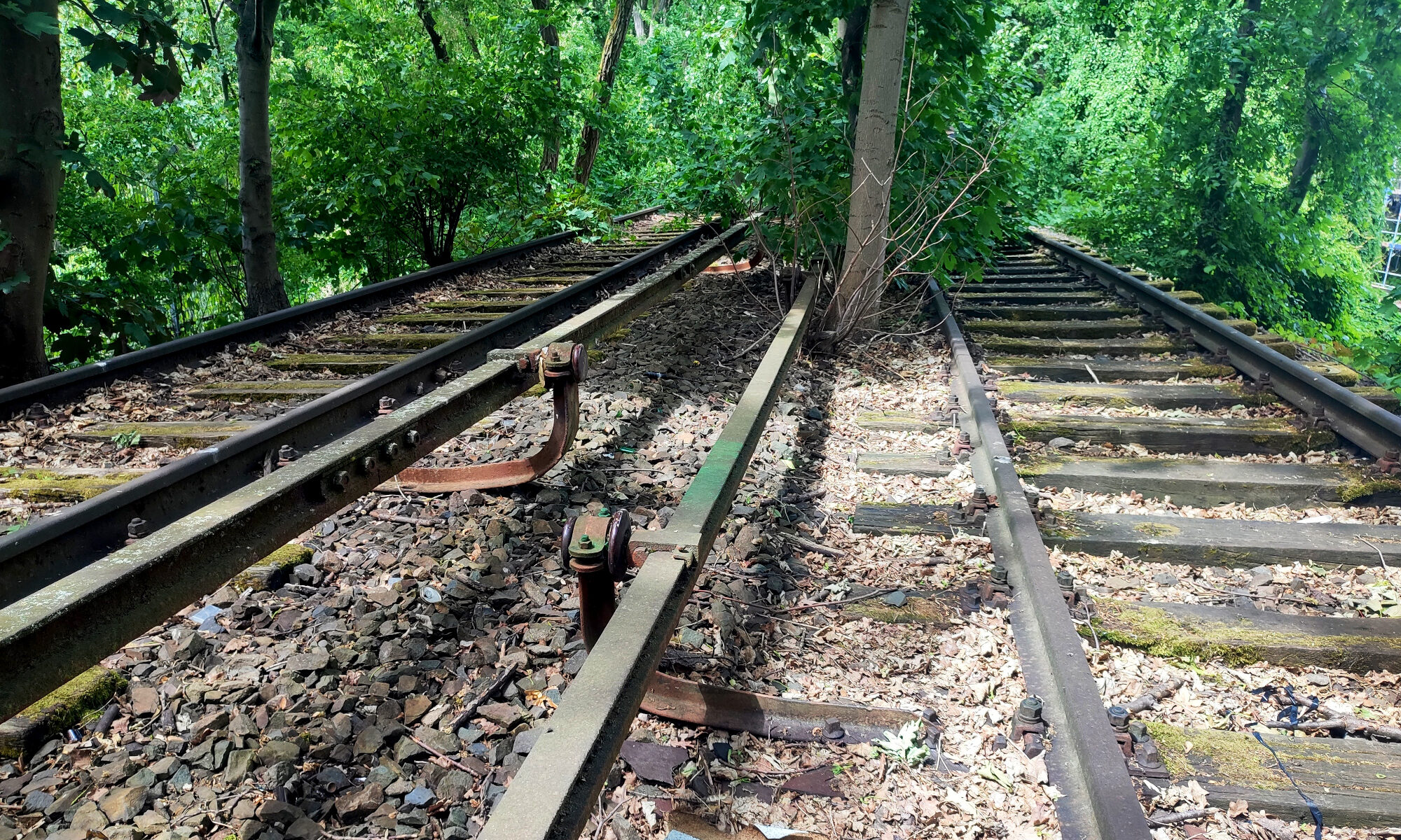 Die Planungen für die Siemensbahn sind gesichert, Foto: VBB, Stapf