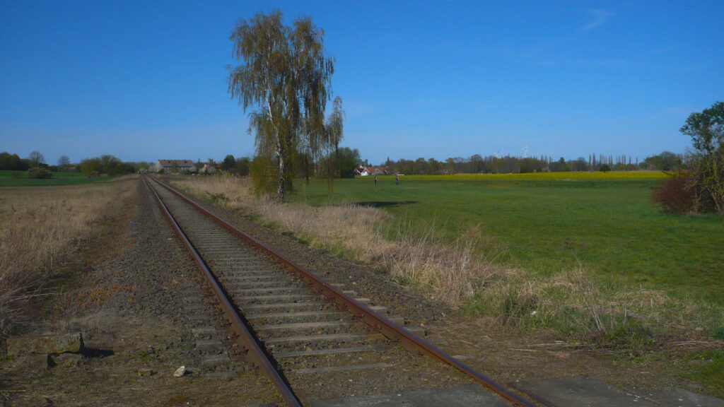 Die Stammstrecke der Heidekrautbahn wartet auf ihre Reaktivierung, Foto: VBB/Stapf