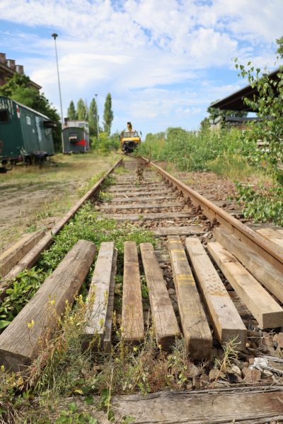 Ein paar alte Gleise der Potsdamer Stammbahn liegen noch, doch darüber fahren schon seit langem keine Züge mehr, Foto: VBB GmbH/Fülling